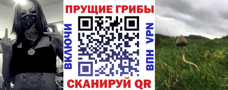 Псилоцибиновые грибы Magic Shrooms  Среднеуральск 